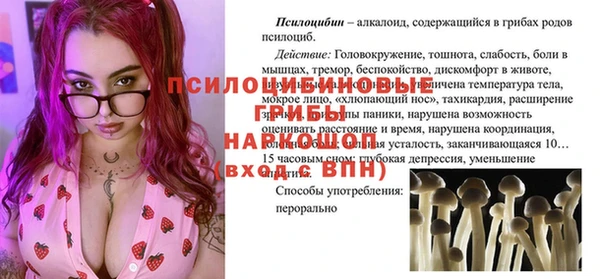 дмт Лабытнанги