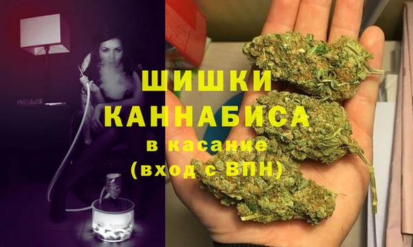 крисы Пестово