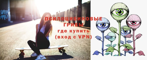 дмт Лабытнанги