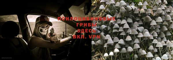 apvp Ладушкин