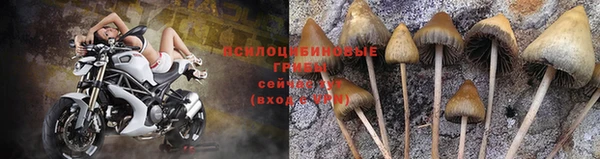 apvp Ладушкин