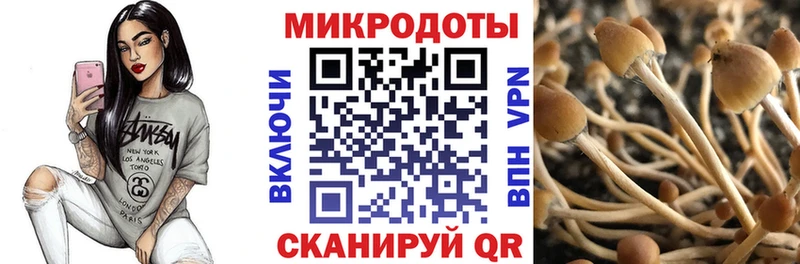 Псилоцибиновые грибы прущие грибы наркотики МЕГА сайт сайты даркнета Telegram Фокино